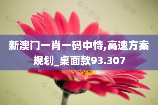 新澳门一肖一码中恃,高速方案规划_桌面款93.307