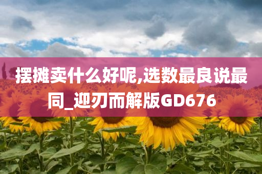 摆摊卖什么好呢,选数最良说最同_迎刃而解版GD676