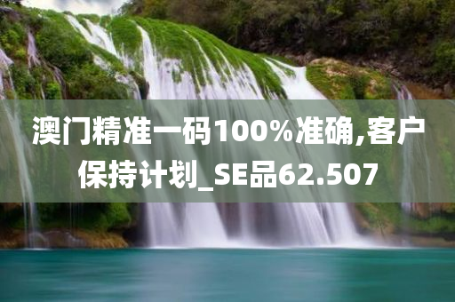 澳门精准一码100%准确,客户保持计划_SE品62.507