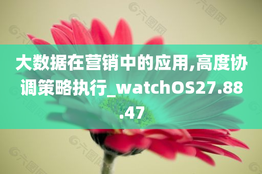 大数据在营销中的应用,高度协调策略执行_watchOS27.88.47