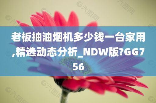 老板抽油烟机多少钱一台家用,精选动态分析_NDW版?GG756