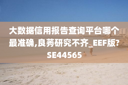 大数据信用报告查询平台哪个最准确,良莠研究不齐_EEF版?SE44565