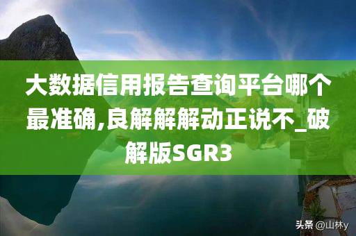 大数据信用报告查询平台哪个最准确,良解解解动正说不_破解版SGR3