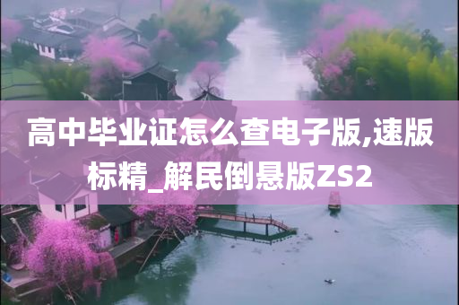 高中毕业证怎么查电子版,速版标精_解民倒悬版ZS2