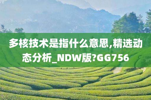 多核技术是指什么意思,精选动态分析_NDW版?GG756