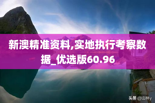 新澳精准资料,实地执行考察数据_优选版60.96