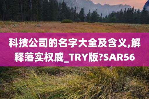 科技公司的名字大全及含义,解释落实权威_TRY版?SAR56