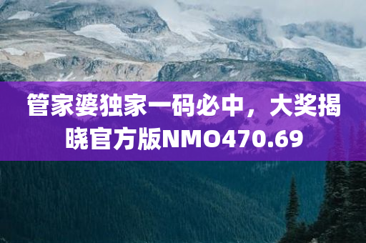 管家婆独家一码必中，大奖揭晓官方版NMO470.69