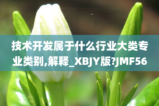 技术开发属于什么行业大类专业类别,解释_XBJY版?JMF56