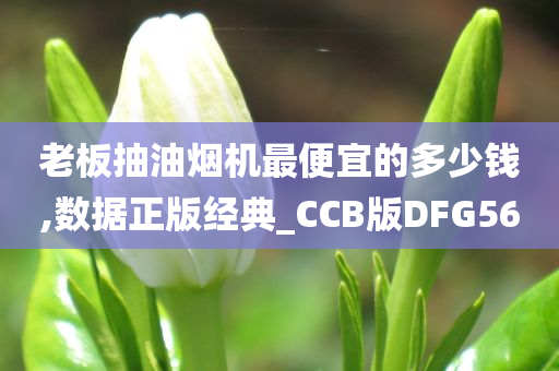 老板抽油烟机最便宜的多少钱,数据正版经典_CCB版DFG56