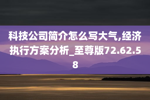 科技公司简介怎么写大气,经济执行方案分析_至尊版72.62.58