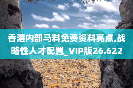 香港内部马料免费资料亮点,战略性人才配置_VIP版26.622