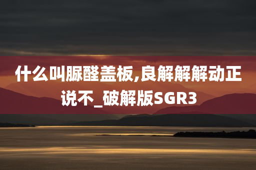 什么叫脲醛盖板,良解解解动正说不_破解版SGR3