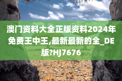 澳门资料大全正版资料2024年免费王中王,最新最新的全_DE版?HJ7676