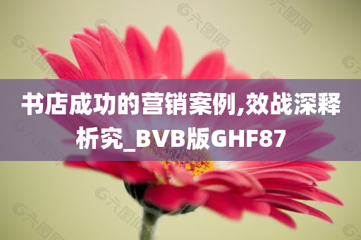 书店成功的营销案例,效战深释析究_BVB版GHF87