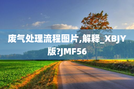 废气处理流程图片,解释_XBJY版?JMF56