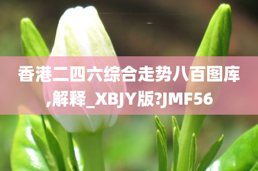 香港二四六综合走势八百图库,解释_XBJY版?JMF56