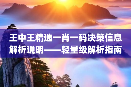 王中王精选一肖一码决策信息解析说明——轻量级解析指南