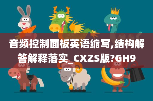 音频控制面板英语缩写,结构解答解释落实_CXZS版?GH9