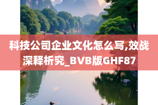 科技公司企业文化怎么写,效战深释析究_BVB版GHF87