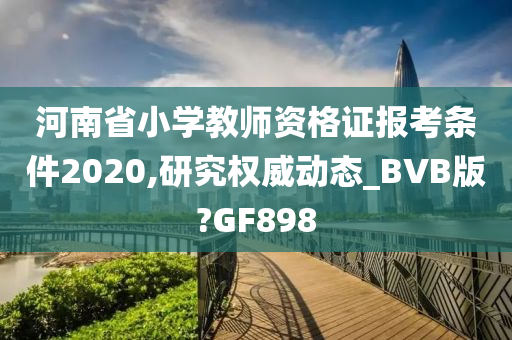 河南省小学教师资格证报考条件2020,研究权威动态_BVB版?GF898