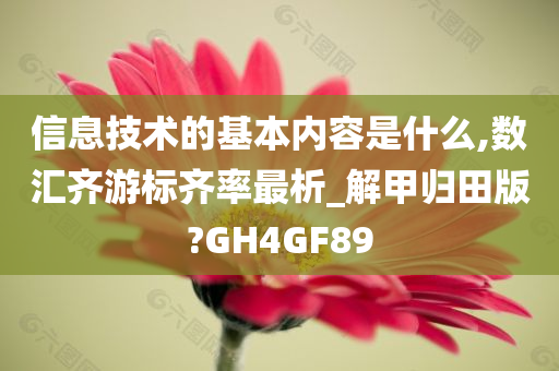 信息技术的基本内容是什么,数汇齐游标齐率最析_解甲归田版?GH4GF89