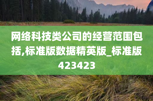 网络科技类公司的经营范围包括,标准版数据精英版_标准版423423