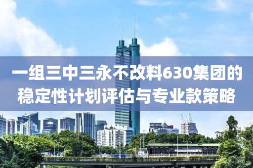 一组三中三永不改料630集团的稳定性计划评估与专业款策略