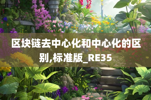 区块链去中心化和中心化的区别,标准版_RE35