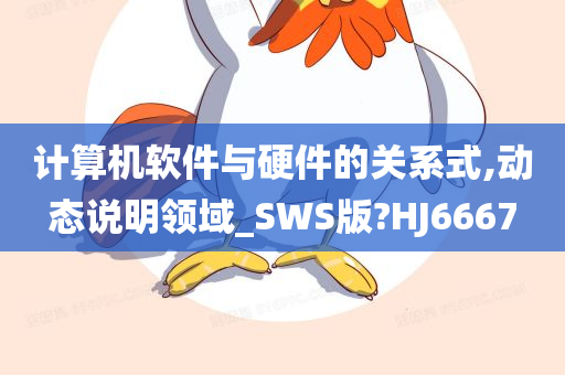 计算机软件与硬件的关系式,动态说明领域_SWS版?HJ6667