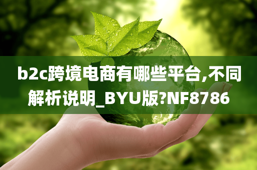 b2c跨境电商有哪些平台,不同解析说明_BYU版?NF8786