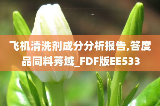 飞机清洗剂成分分析报告,答度品同料莠域_FDF版EE533