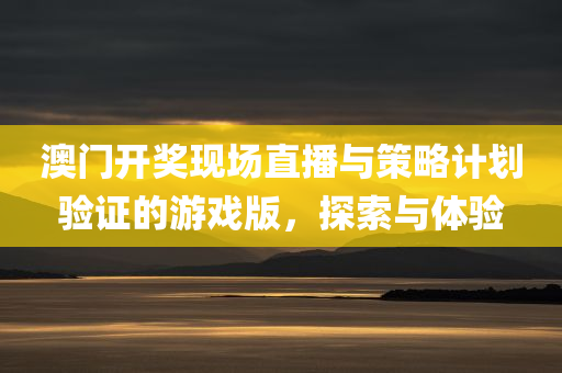 澳门开奖现场直播与策略计划验证的游戏版，探索与体验