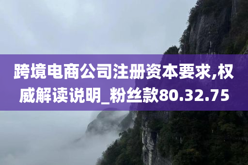 跨境电商公司注册资本要求,权威解读说明_粉丝款80.32.75