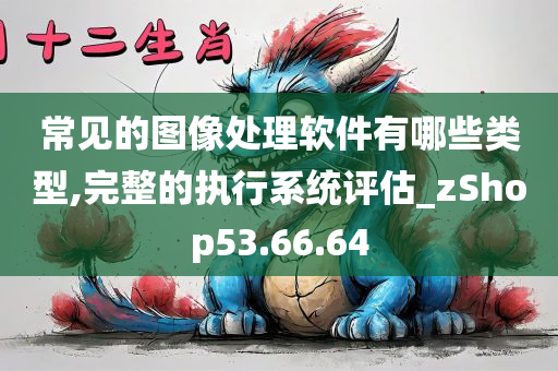 常见的图像处理软件有哪些类型,完整的执行系统评估_zShop53.66.64