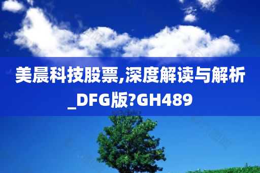 美晨科技股票,深度解读与解析_DFG版?GH489