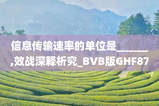 信息传输速率的单位是______,效战深释析究_BVB版GHF87