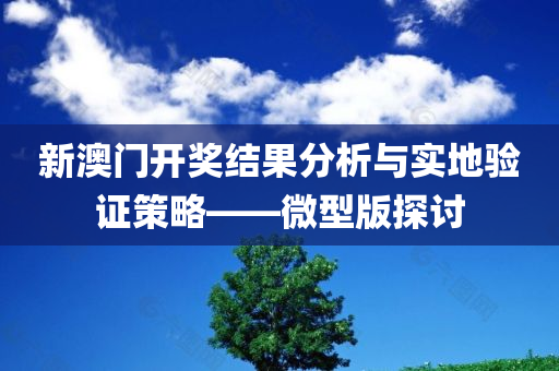 新澳门开奖结果分析与实地验证策略——微型版探讨