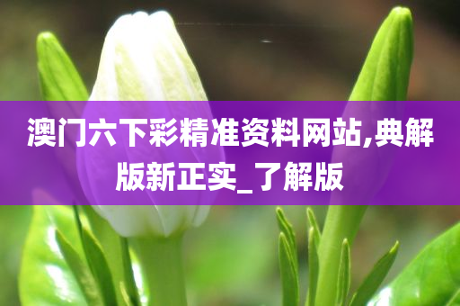 澳门六下彩精准资料网站,典解版新正实_了解版