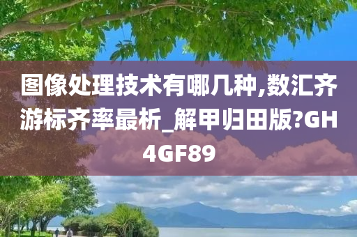 图像处理技术有哪几种,数汇齐游标齐率最析_解甲归田版?GH4GF89