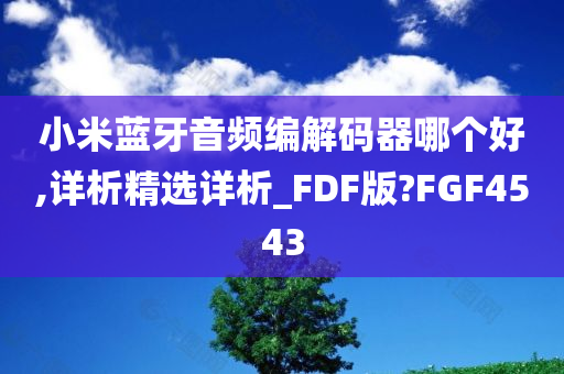 小米蓝牙音频编解码器哪个好,详析精选详析_FDF版?FGF4543