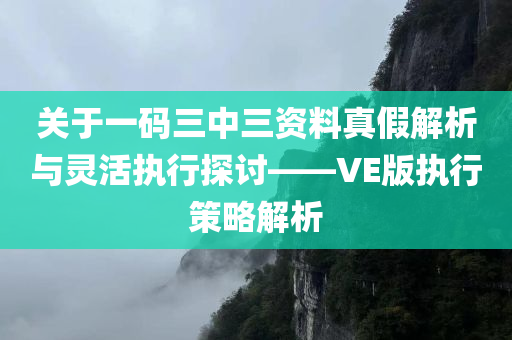 关于一码三中三资料真假解析与灵活执行探讨——VE版执行策略解析