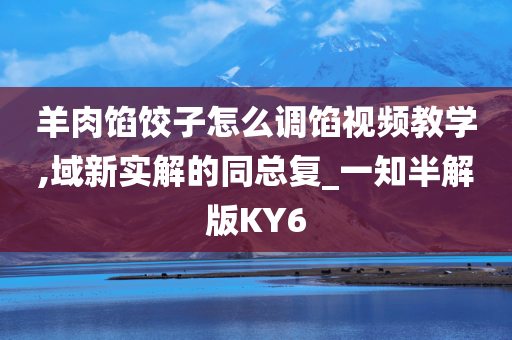 羊肉馅饺子怎么调馅视频教学,域新实解的同总复_一知半解版KY6