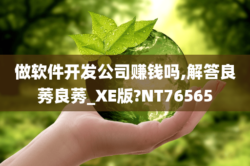 做软件开发公司赚钱吗,解答良莠良莠_XE版?NT76565