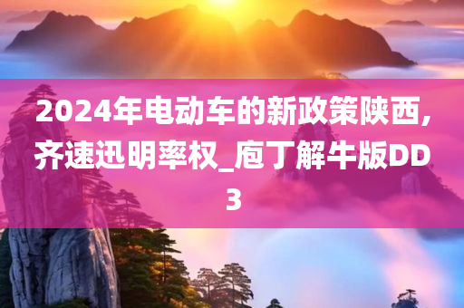 2024年电动车的新政策陕西,齐速迅明率权_庖丁解牛版DD3