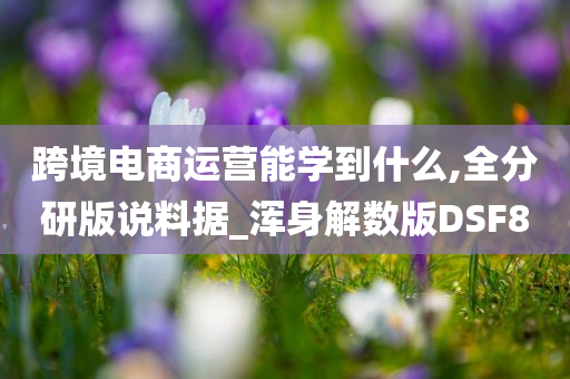 跨境电商运营能学到什么,全分研版说料据_浑身解数版DSF8