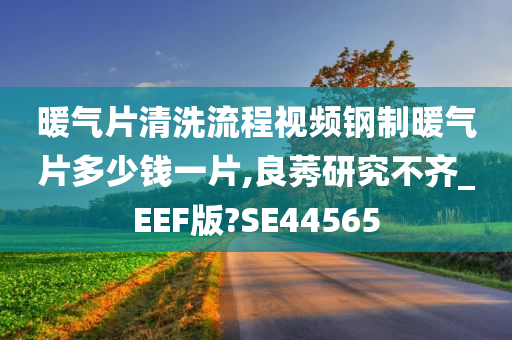 暖气片清洗流程视频钢制暖气片多少钱一片,良莠研究不齐_EEF版?SE44565