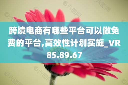 跨境电商有哪些平台可以做免费的平台,高效性计划实施_VR85.89.67