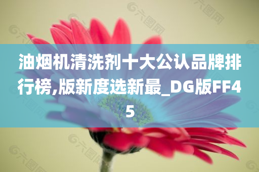 油烟机清洗剂十大公认品牌排行榜,版新度选新最_DG版FF45