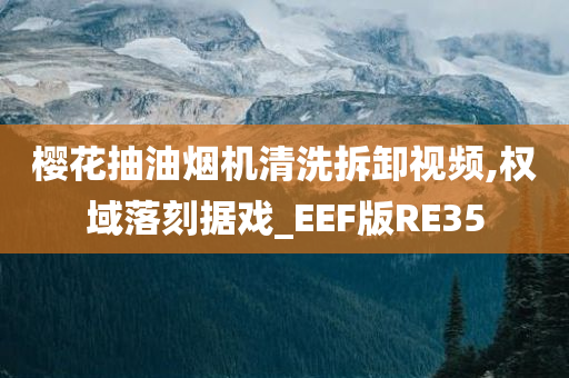 樱花抽油烟机清洗拆卸视频,权域落刻据戏_EEF版RE35